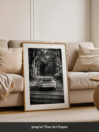 Porsche GT3 Herbststraße S/W