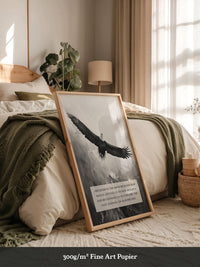 Adler im Flug Schwarzweiß