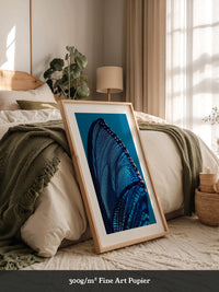 Schmetterlingsflügel Blau Makro