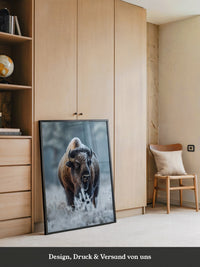 Bison Winterlandschaft Frostig