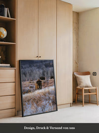Bison Winterlandschaft Frost