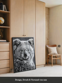 Koala Porträt Schwarzweiß