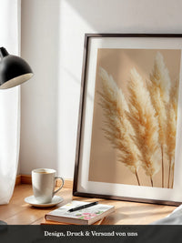 Pampasgras Beige Textur