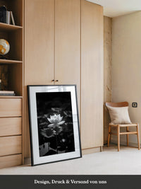 Lotusblüte Schwarzweiß Fotografie