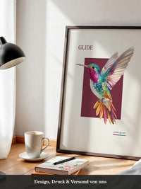 Kolibri Farbenpracht Retro
