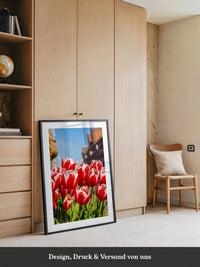 Tulpen frühlingshaft Straße