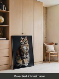 Maine Coon Katze elegant