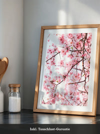 Kirschblüten zart rosa
