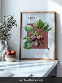 Feigenzweig Botanisch Rötlich