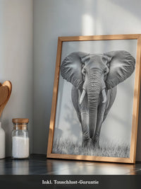 Elefant Frontalansicht schwarz-weiß