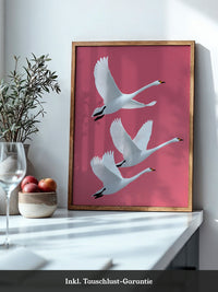 Schwäne Flug rosa Hintergrund