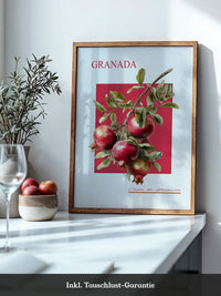 Granatapfel Zweig Rot Hintergrund