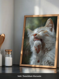Katze Nahaufnahme Reinigung