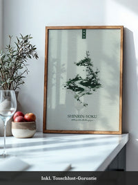 Bonsai Pfad minimalistisch
