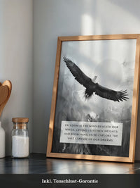 Adler im Flug Schwarzweiß