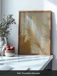 Pampasgras Beige Schatten