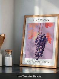 Trauben Illustration Rosa