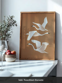 Schwan Flügelschlag Silhouette Braun