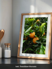 Orangenbaum Grünes Laub