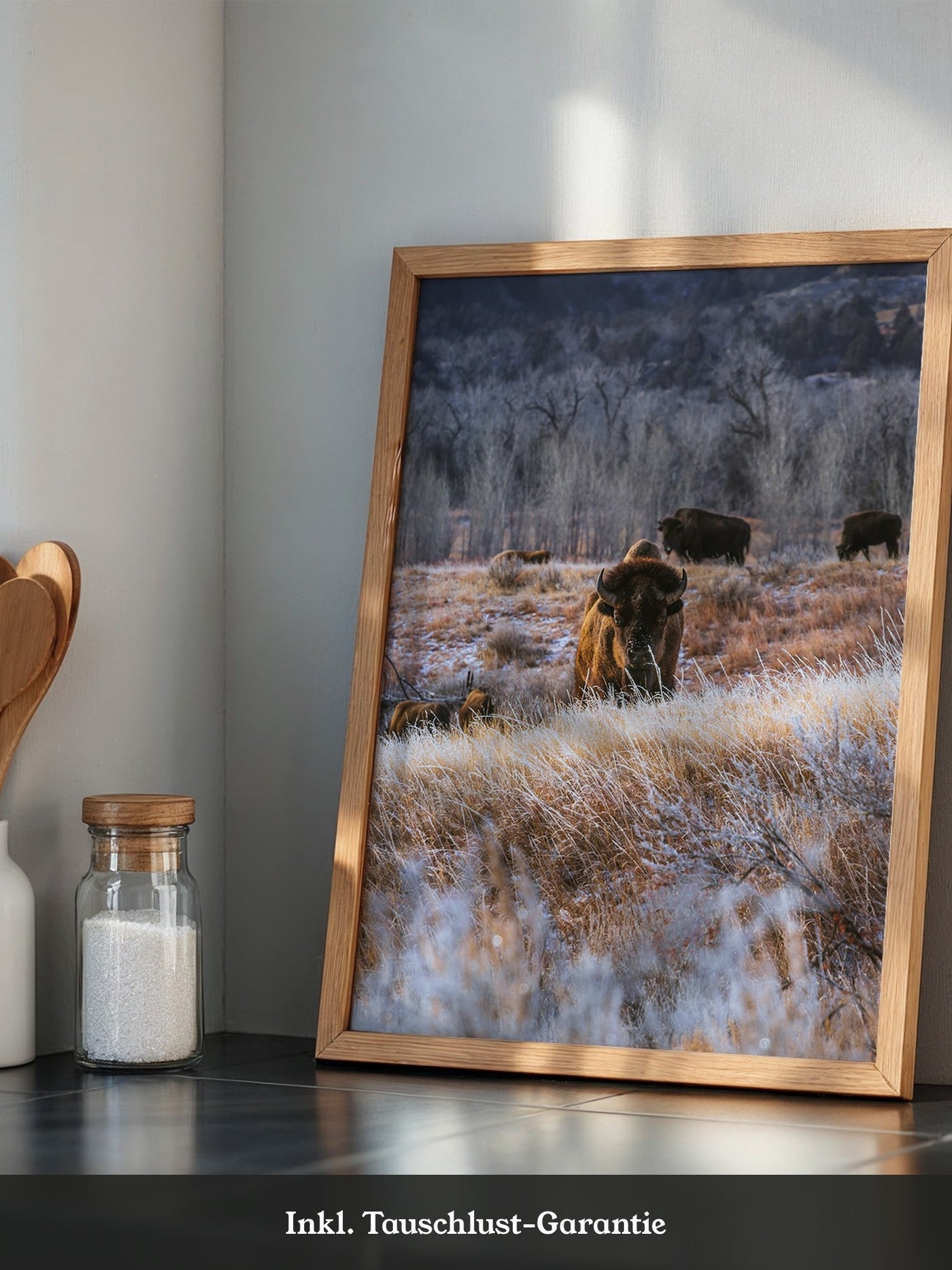 Bison Winterlandschaft Frost
