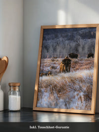 Bison Winterlandschaft Frost