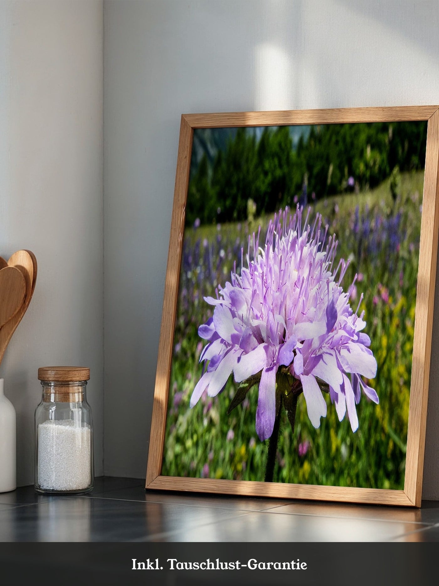 Lila Blume Nahaufnahme