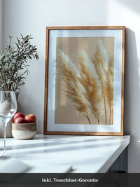 Pampasgras Beige Textur