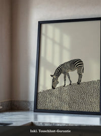 Zebra Grasfläche Grafik