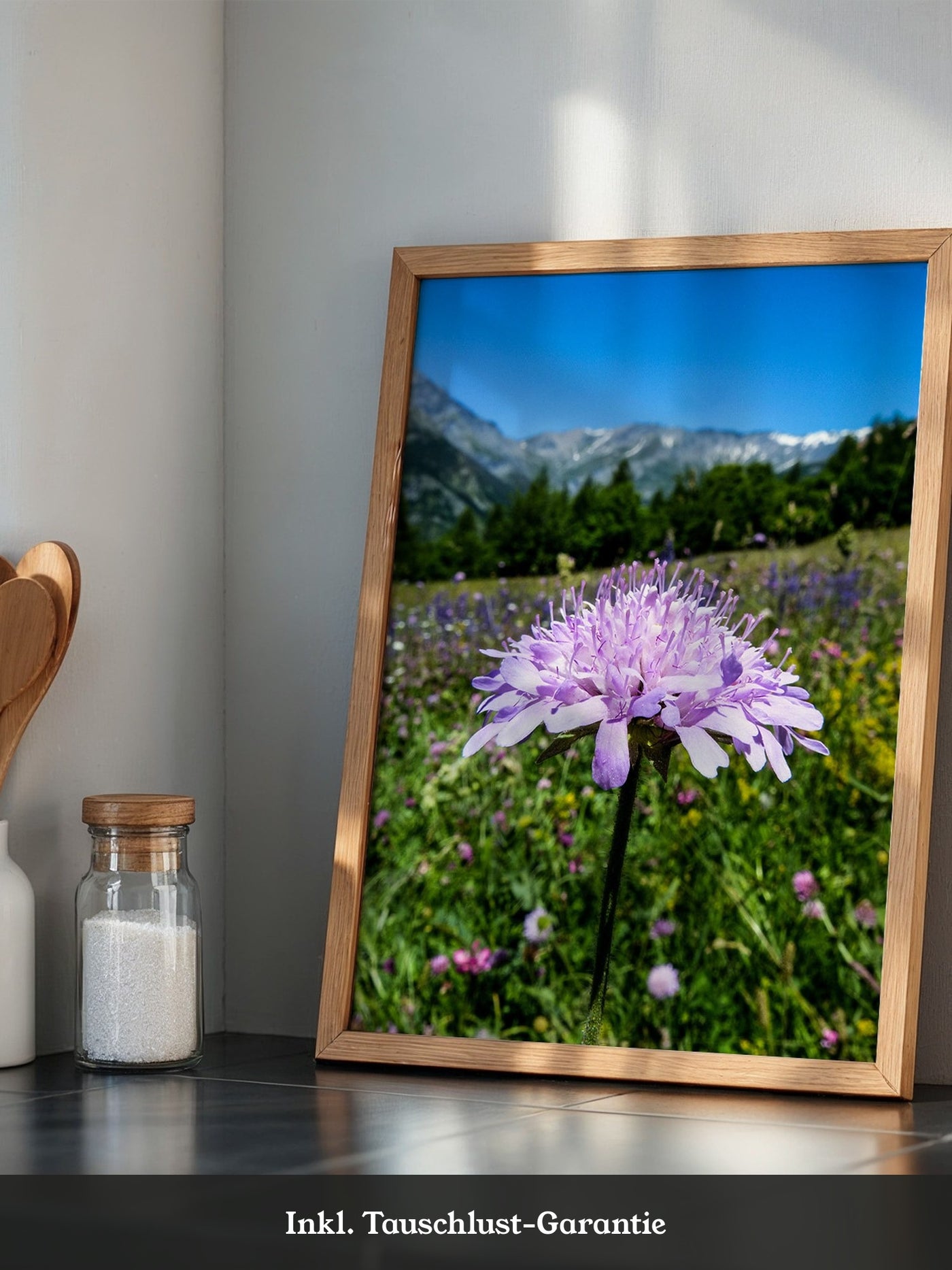 Lila Blume Makro Wiese