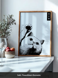 Katzenpfote Schwarz Weiß Grafik