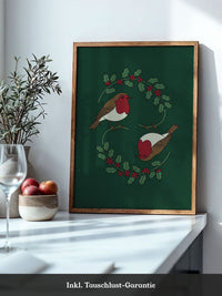 Rotkehlchen Illustration