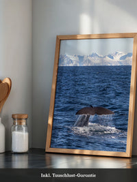 Walflosse Ozean Berge