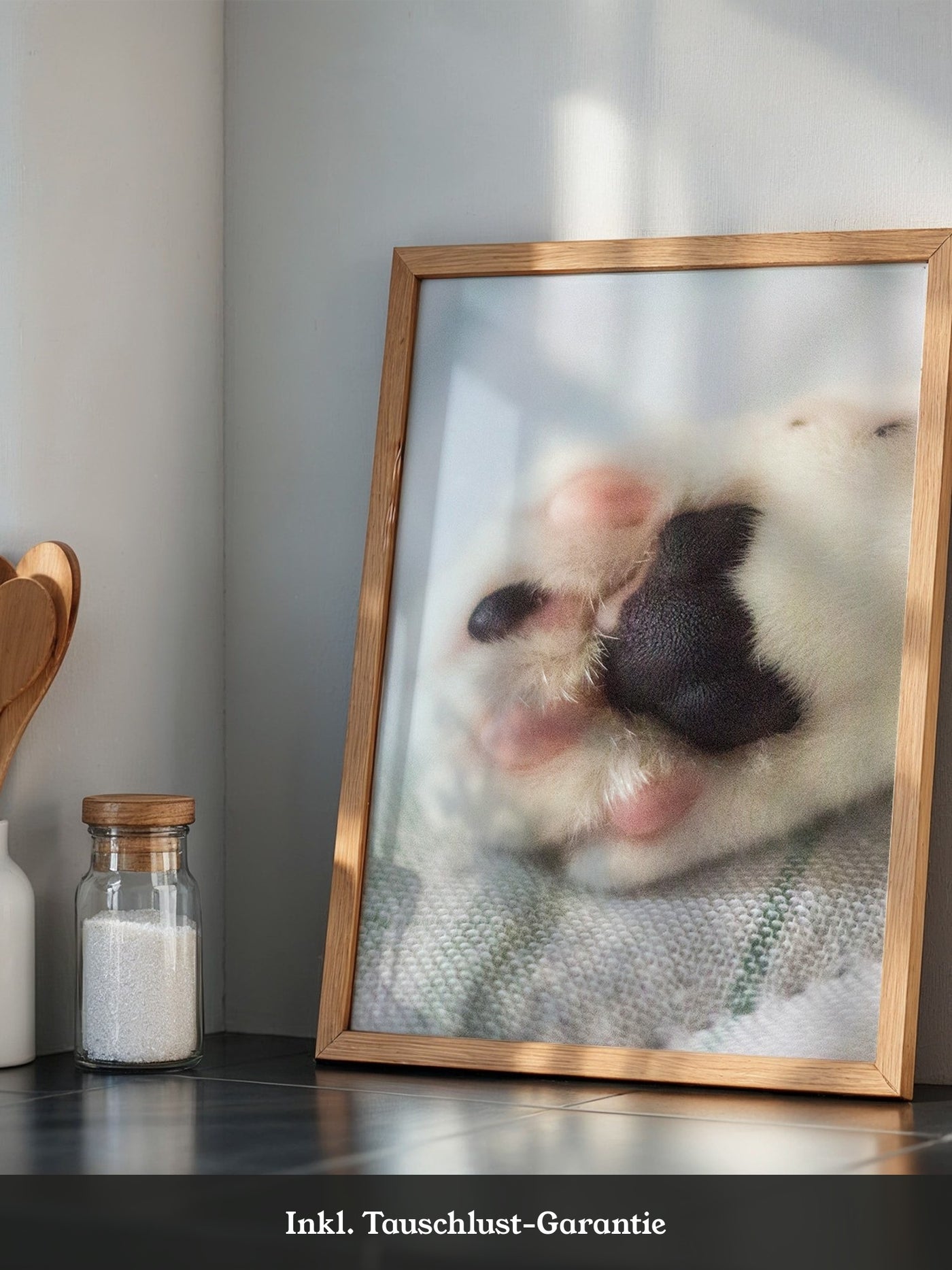 Hunde Pfote Nahaufnahme Pastell