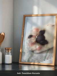 Hunde Pfote Nahaufnahme Pastell