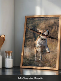 Hund mit Stock lebendig