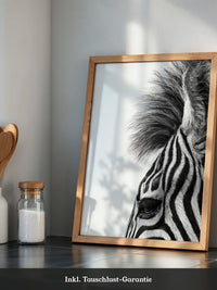Zebra Detail Schwarzweiß