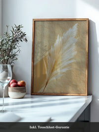 Pampasgras Beige Textur