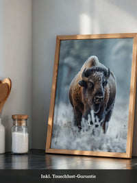 Bison Winterlandschaft Frostig