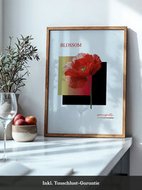 Roter Mohn Blüte Grafik