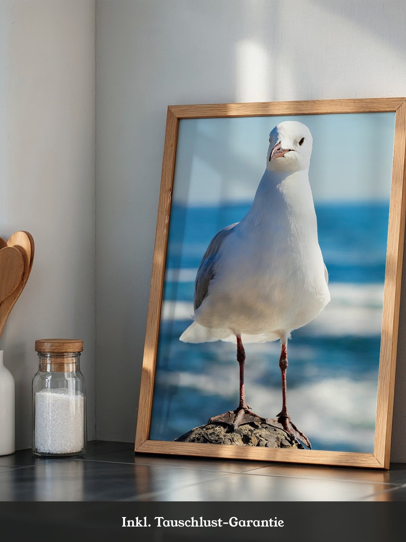 Möwe Küste Nahaufnahme