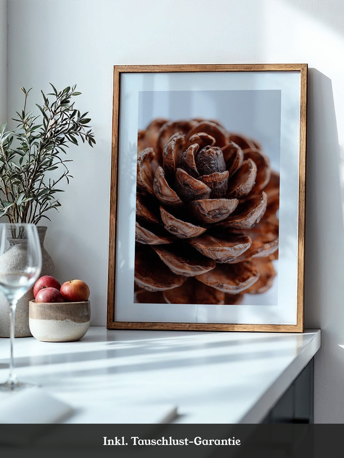 Zapfen Nahaufnahme Holzstruktur