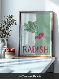 Radieschen Illustration
