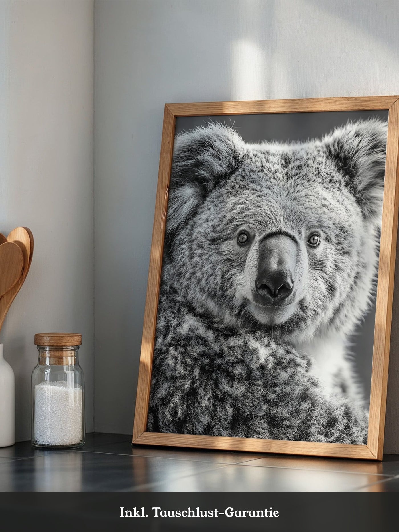 Koala Porträt Schwarzweiß
