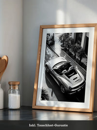Cabrio Palmen Schwarzweißperspektive