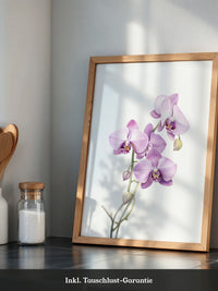 Orchideen Pastell Eleganz