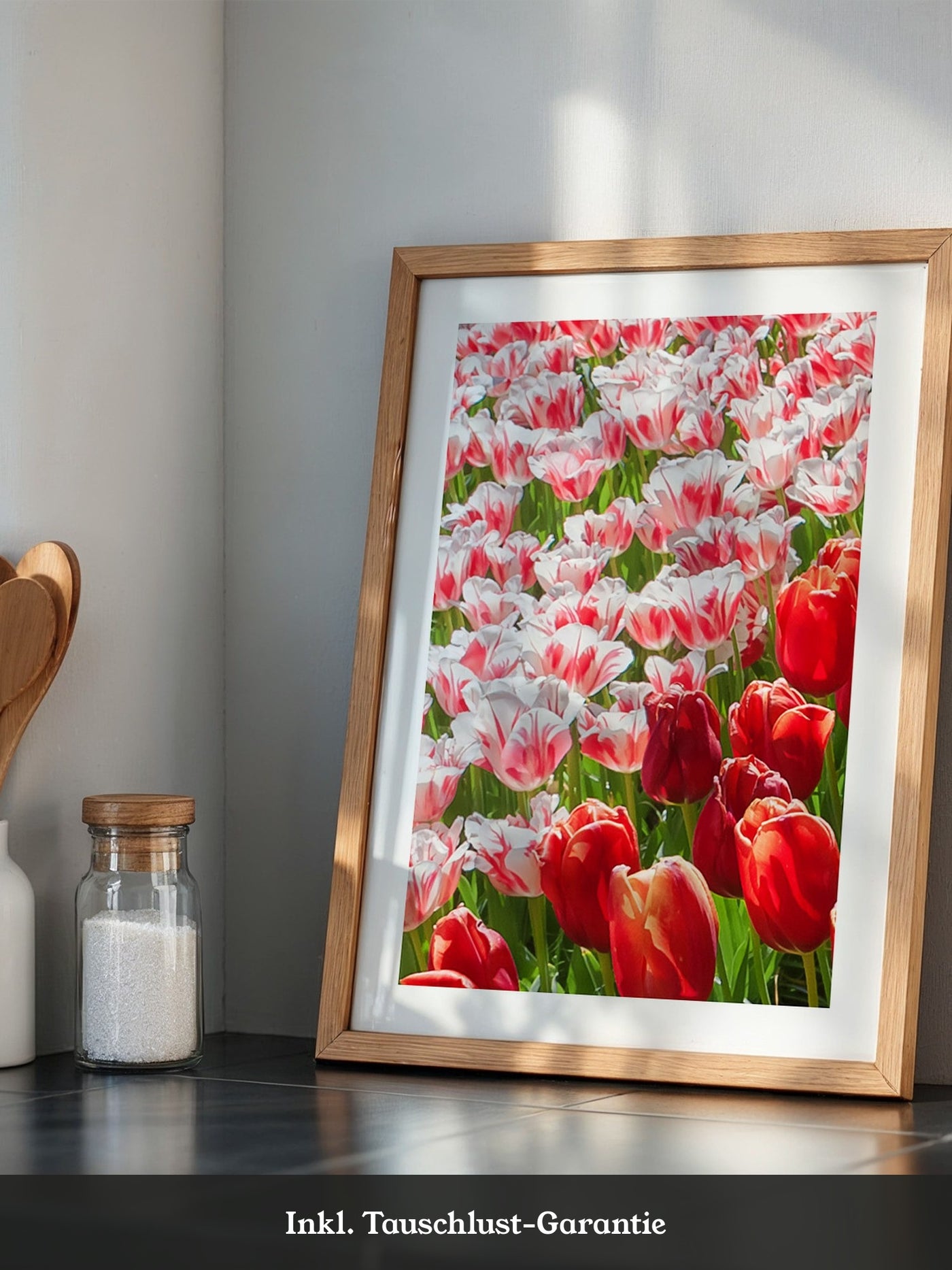 Tulpenmeer Rot Weiß
