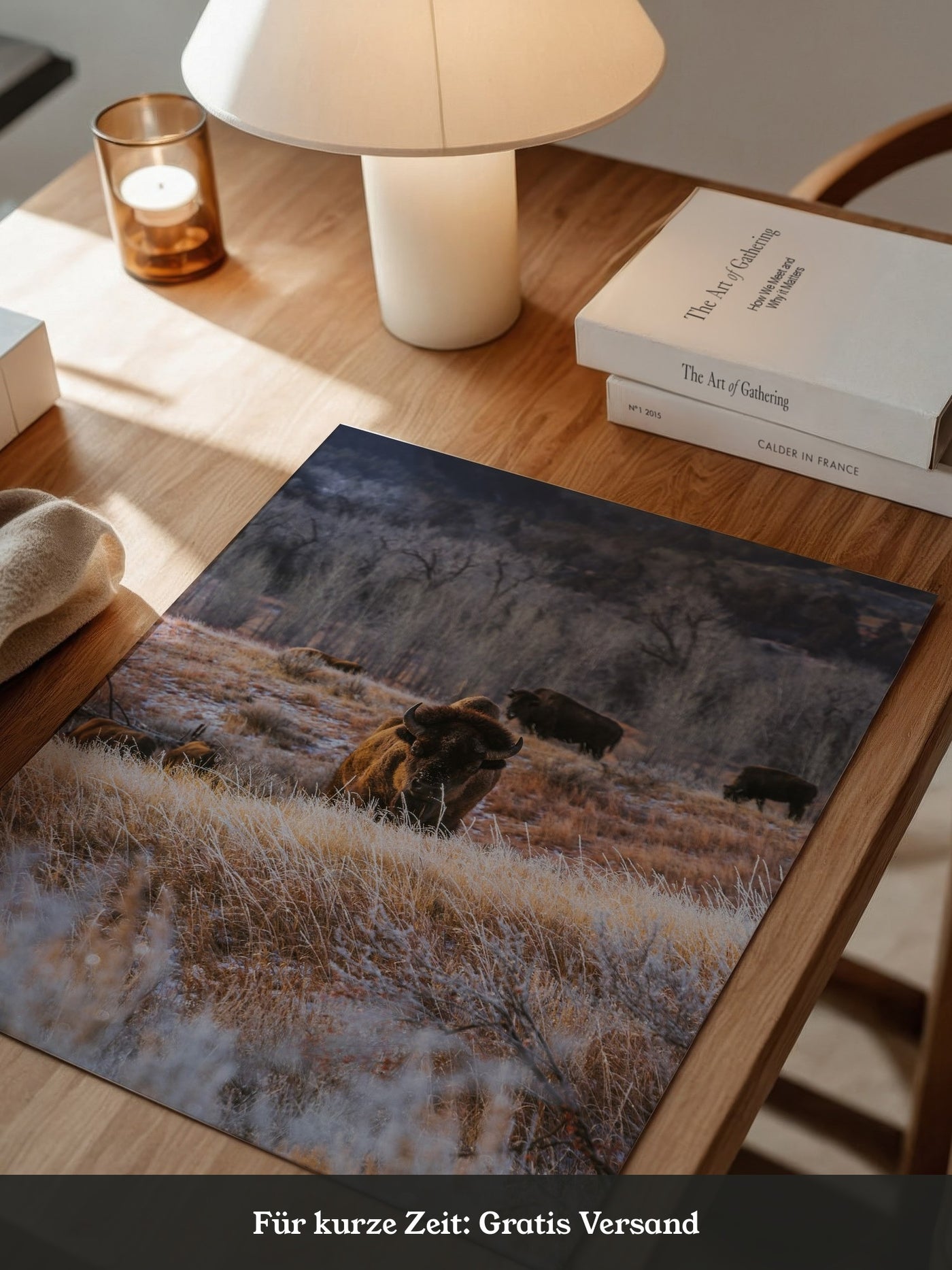 Bison Winterlandschaft Frost