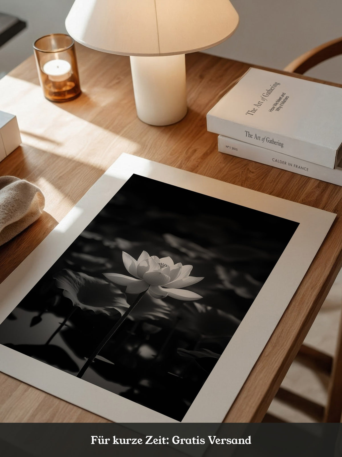Lotusblüte Schwarzweiß Fotografie