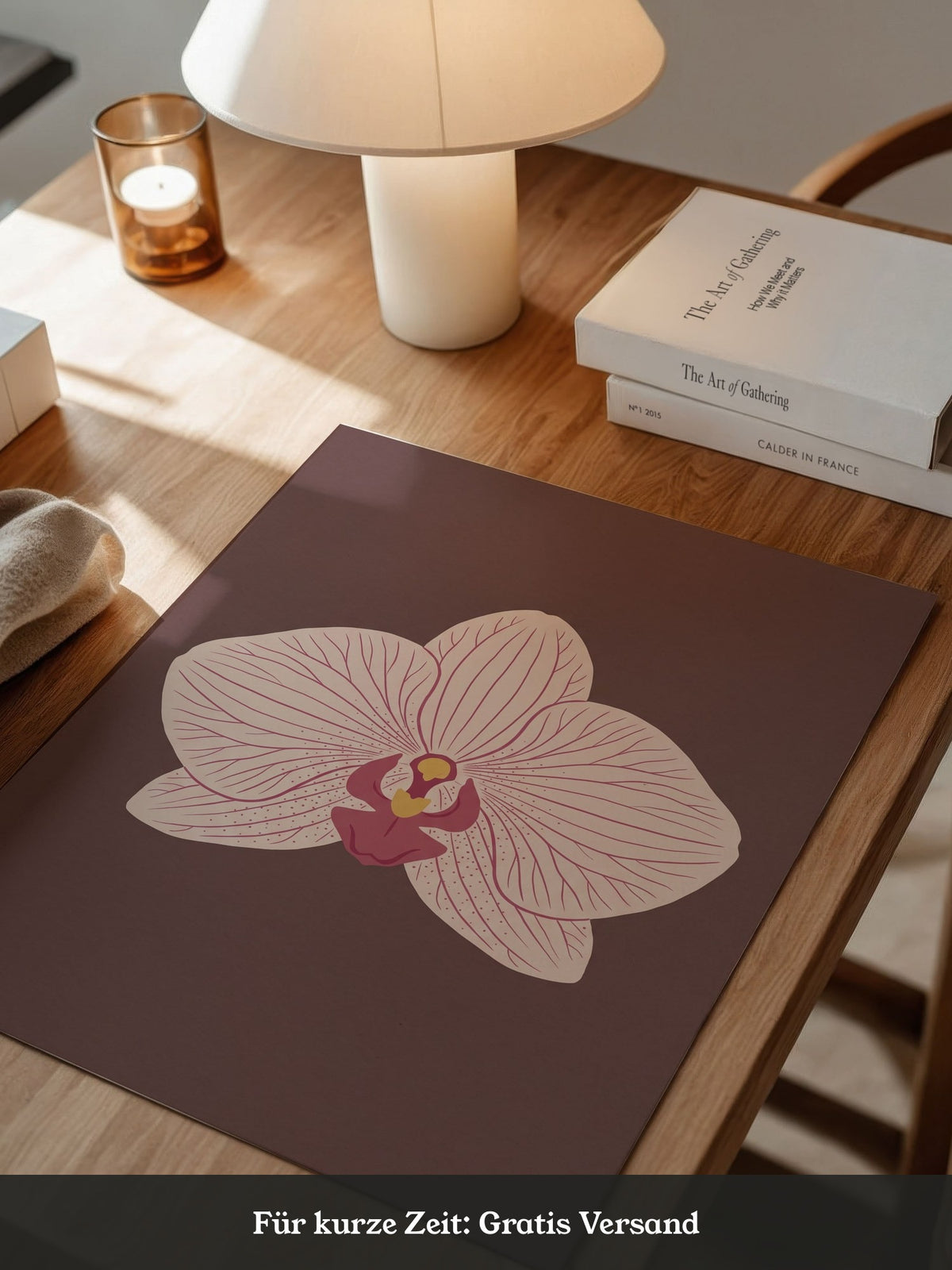 Orchidee Blüte Rosa Illustration