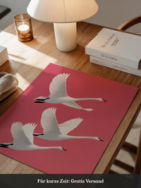 Schwäne Flug rosa Hintergrund